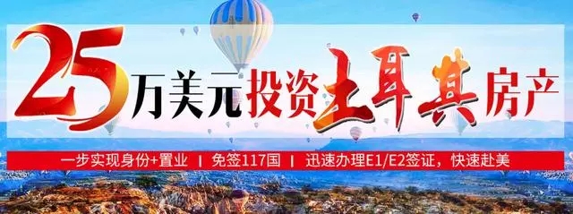 土耳其移民